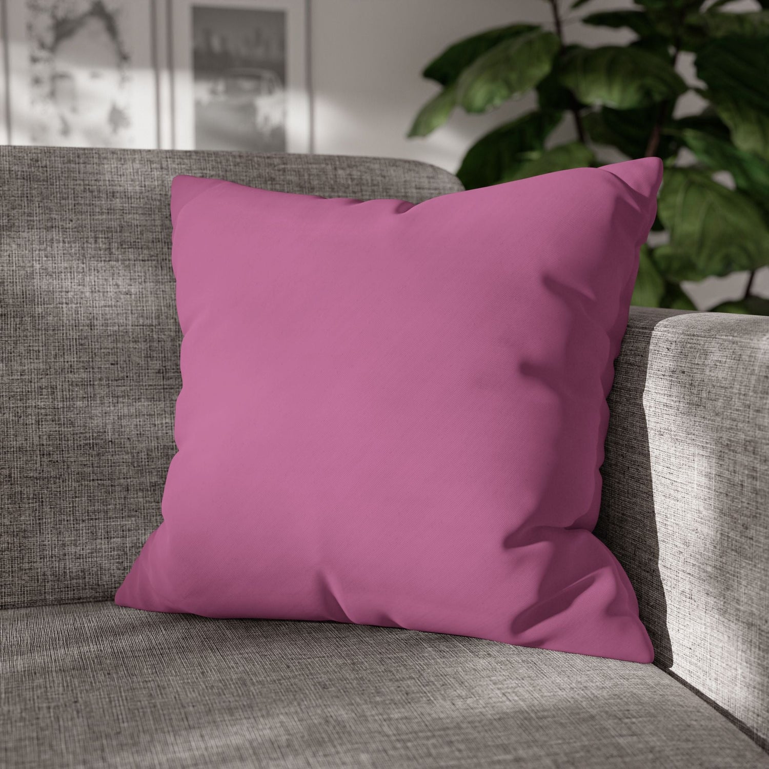 Cozy Pillows