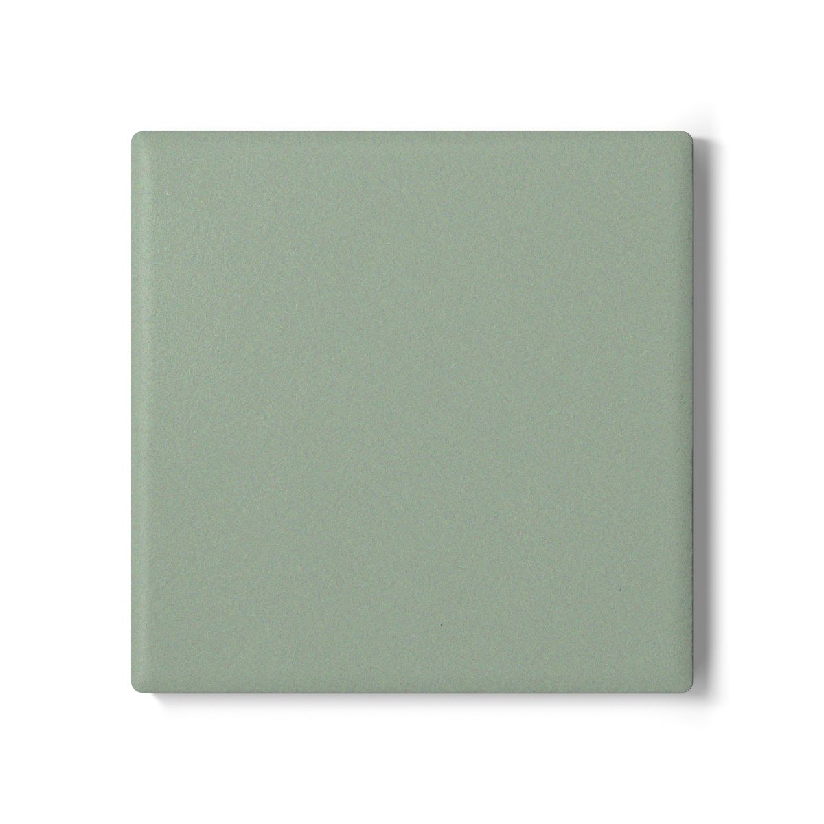 Sage Green Vibes