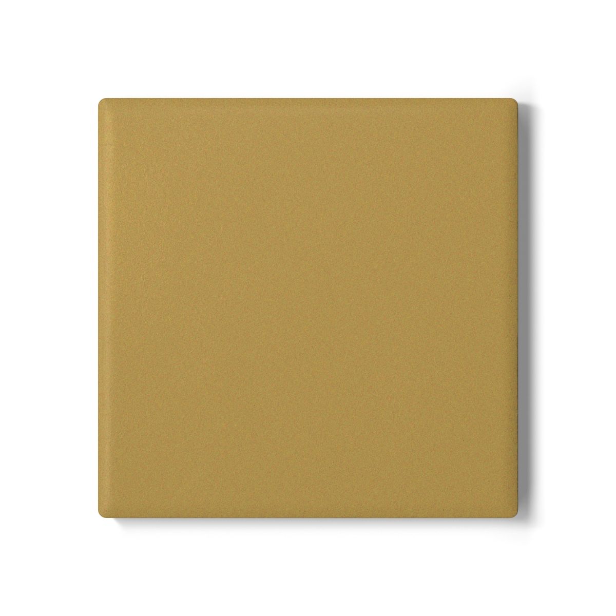 Muted Gold Vibes