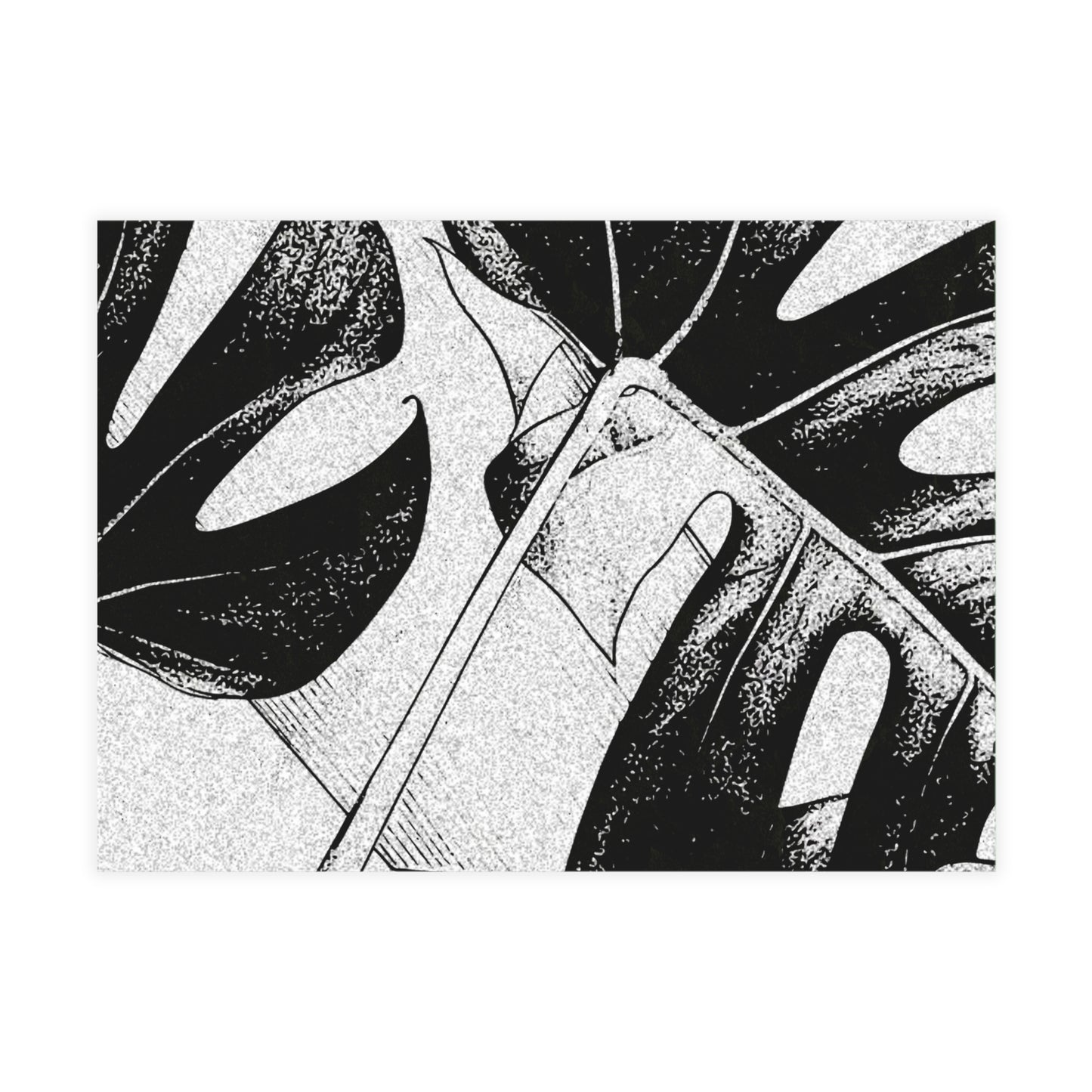 Monstera Leaf Black White Postcards