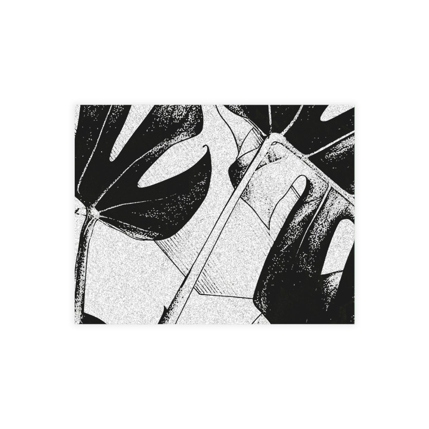 Monstera Leaf Black White Postcards