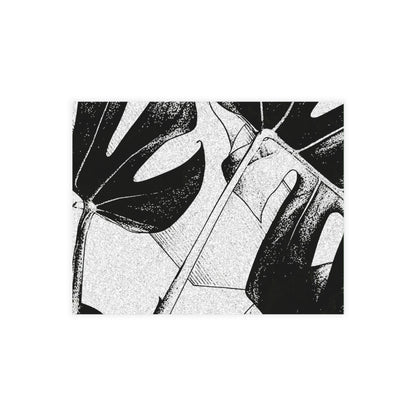 Monstera Leaf Black White Postcards