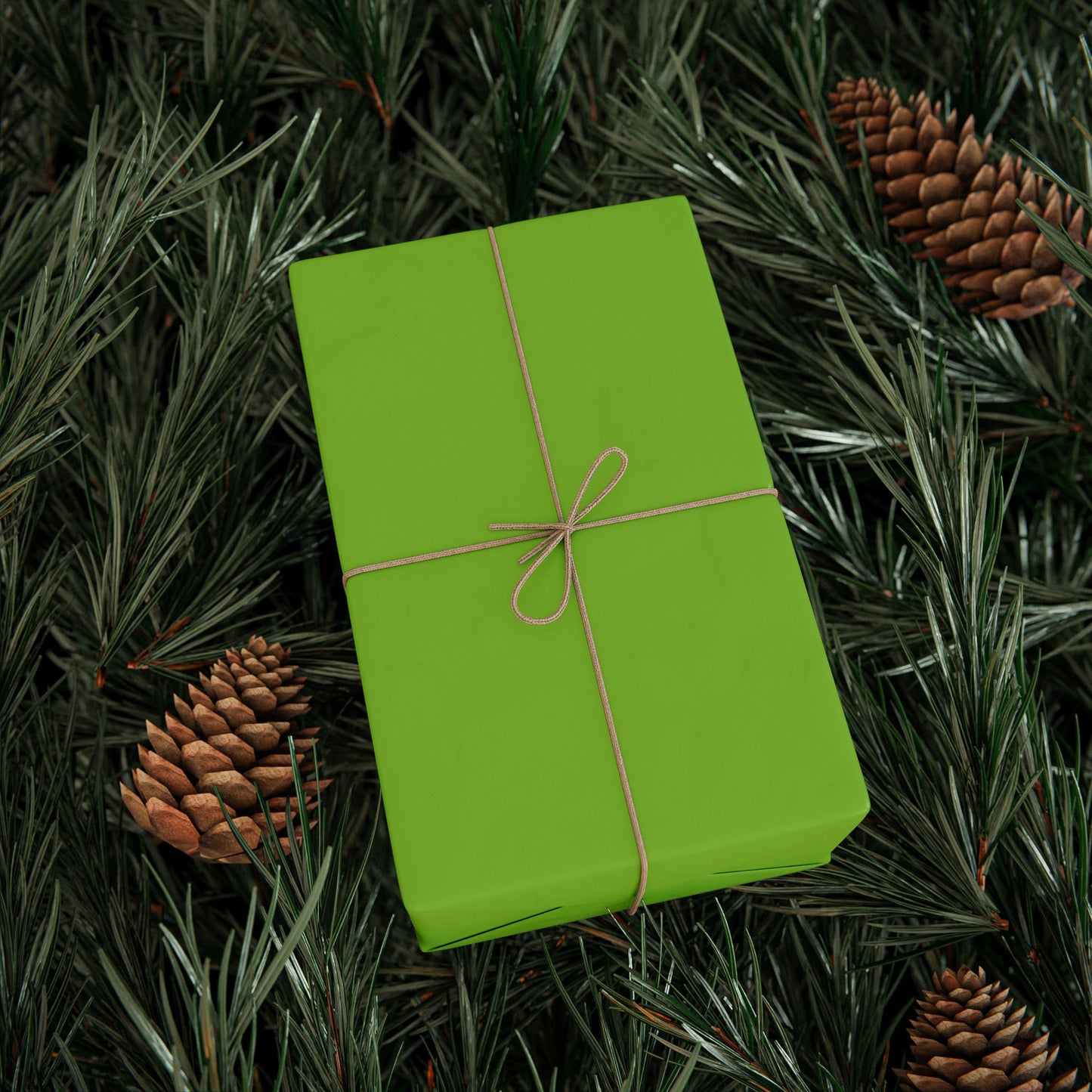 Muted Lime Wrapping Paper Matte or Glossy Gift Wrap 3 Sizes Fine Art Paper