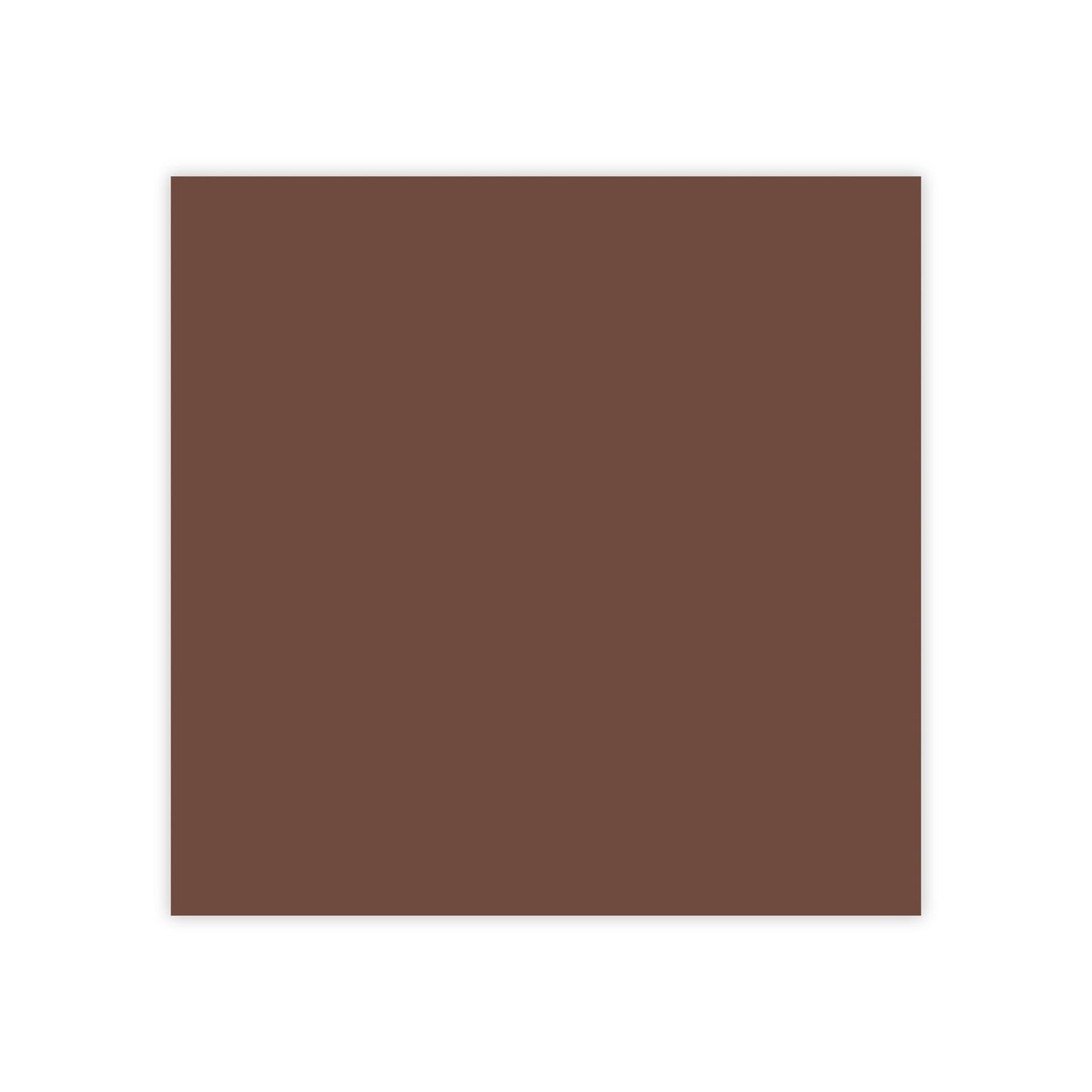 Chocolate Brown Post It Notes Coordinated Color Collection