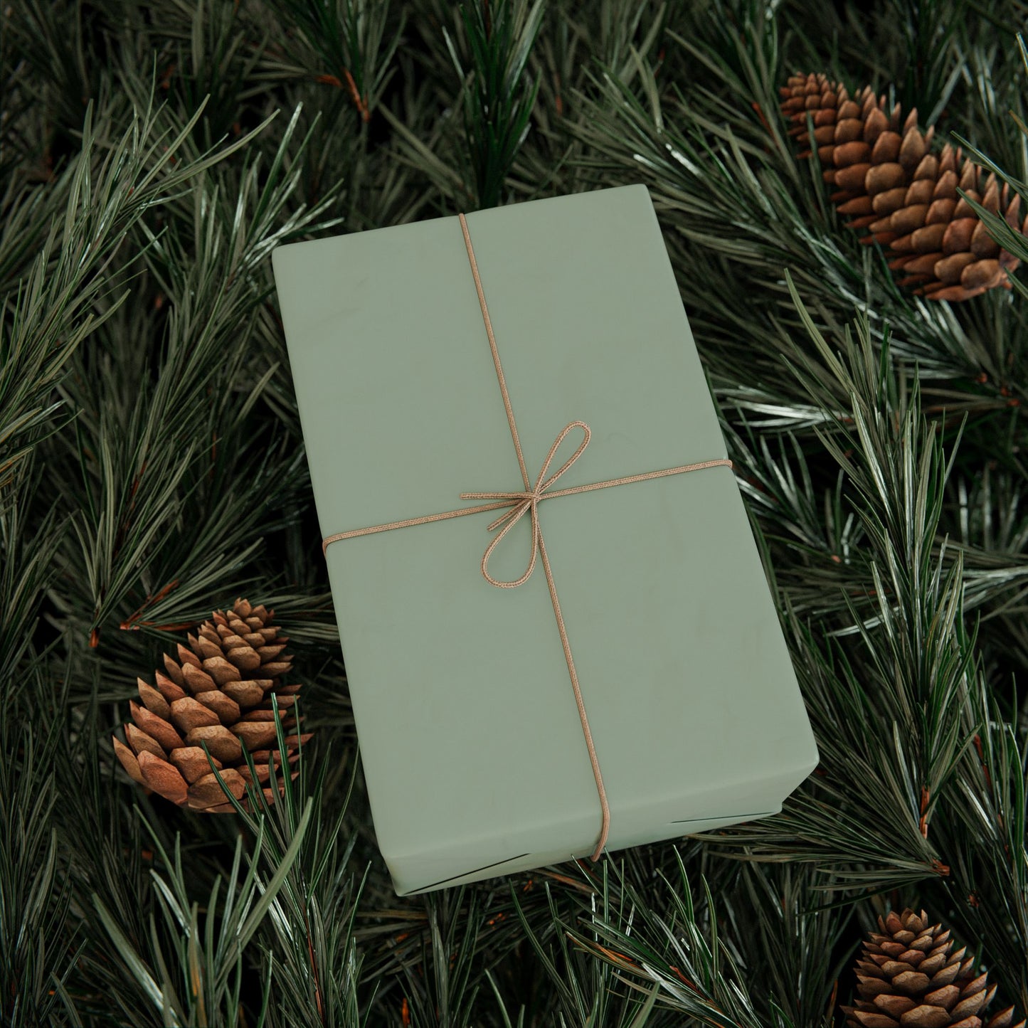 Sage Wrapping Paper Matte or Glossy Gift Wrap 3 Sizes Fine Art Paper