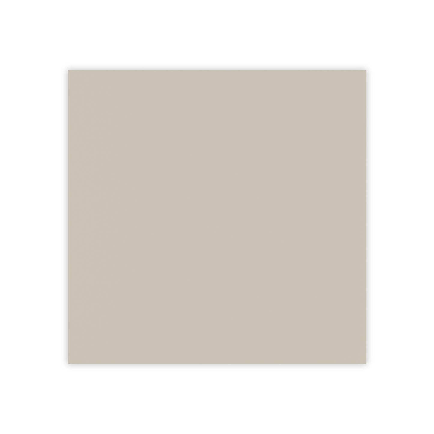 Warm Stone Post It Notes Coordinated Color Collection