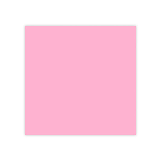 Light Pink Post It Notes Coordinated Color Collection