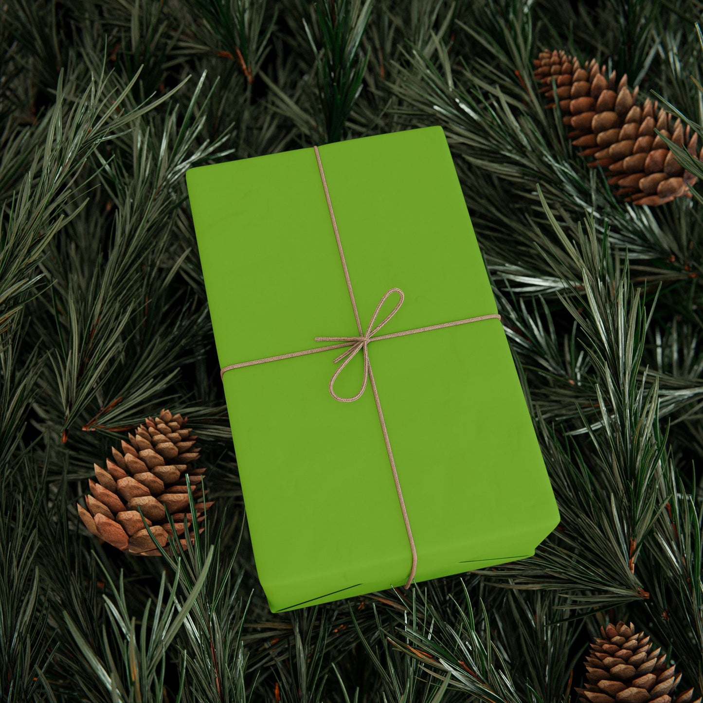 Muted Lime Wrapping Paper Matte or Glossy Gift Wrap 3 Sizes Fine Art Paper