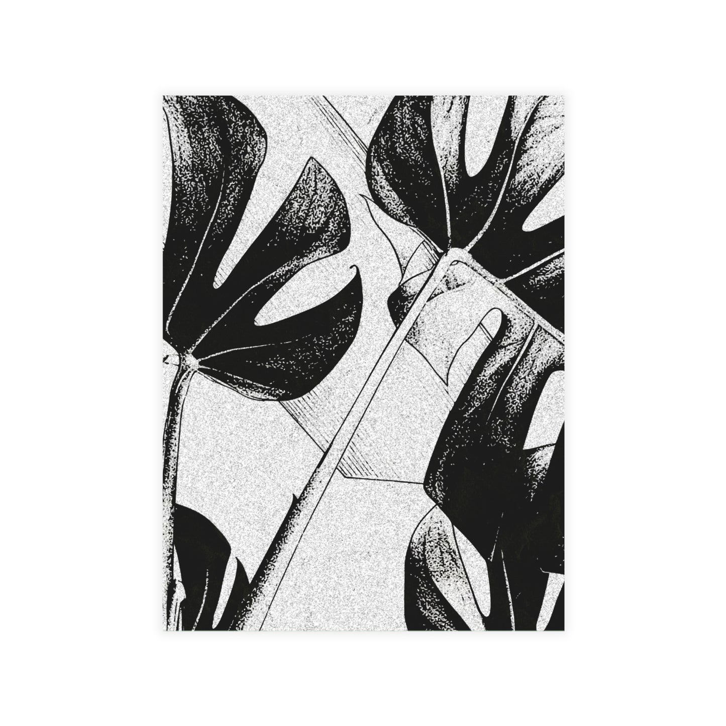 Monstera Leaf Black White Postcards