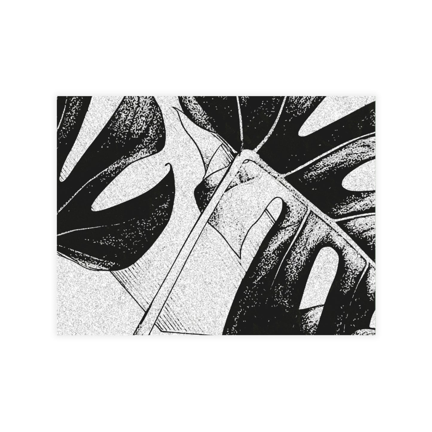 Monstera Leaf Black White Postcards