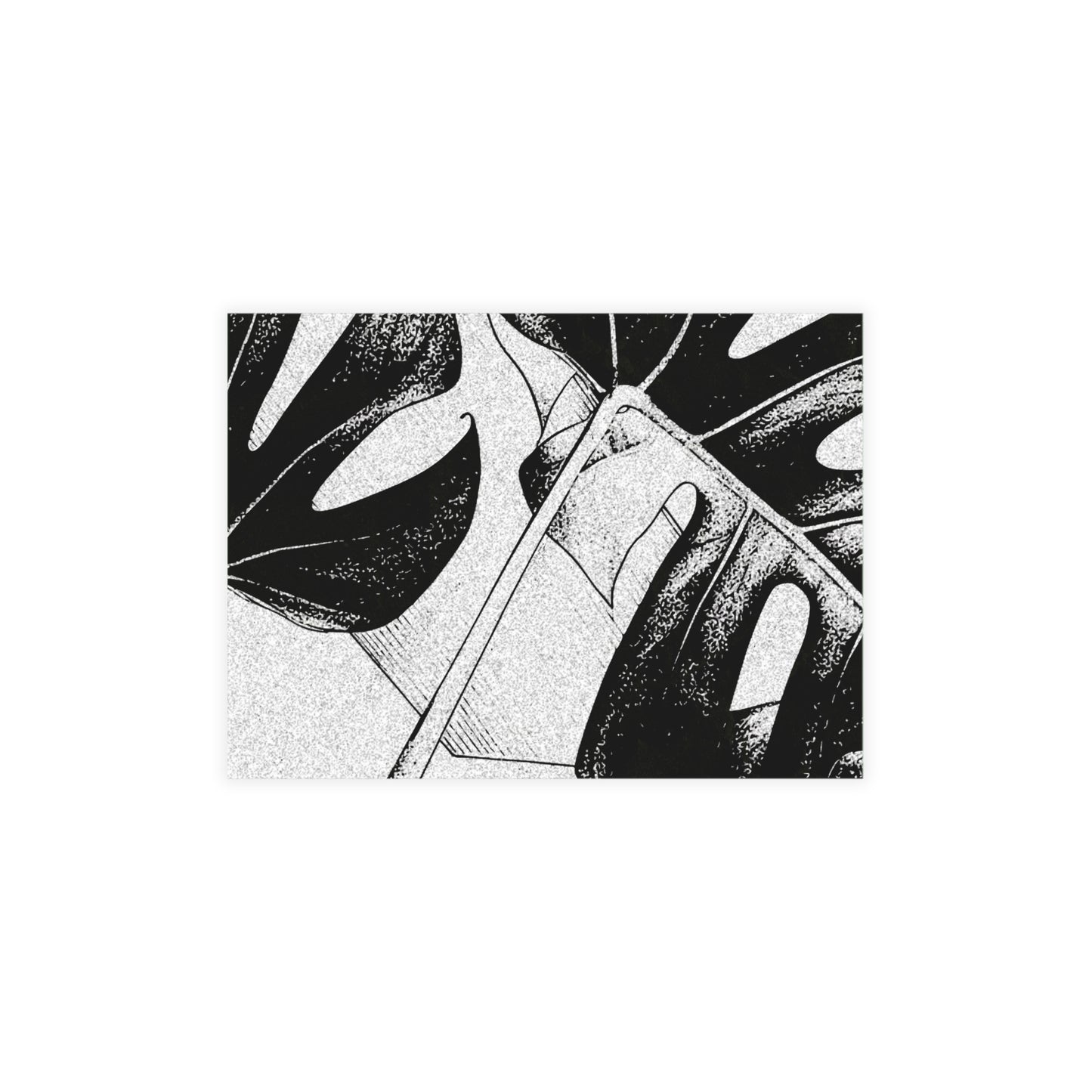 Monstera Leaf Black White Postcards