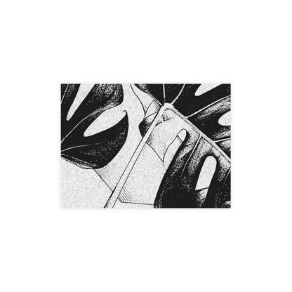 Monstera Leaf Black White Postcards