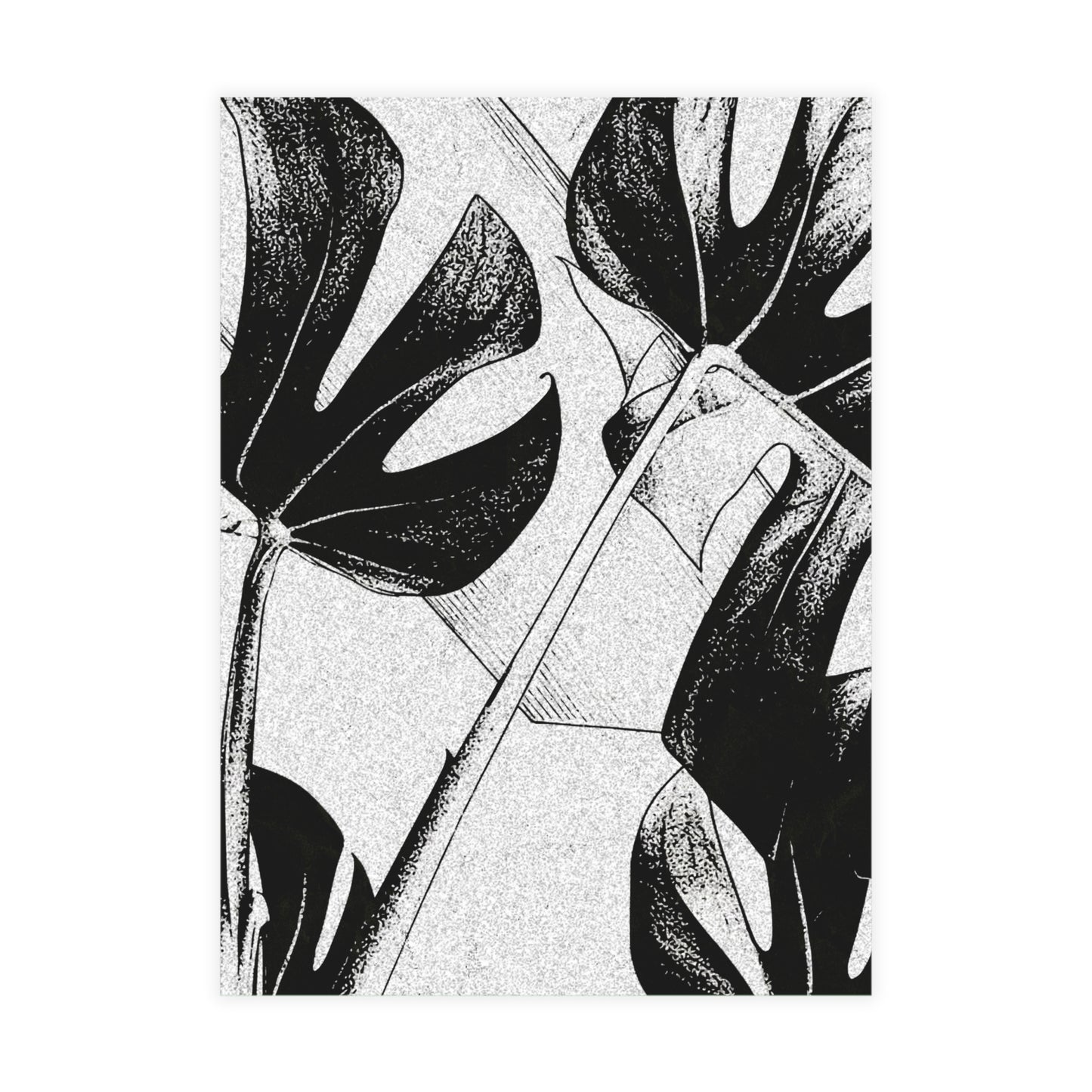 Monstera Leaf Black White Postcards