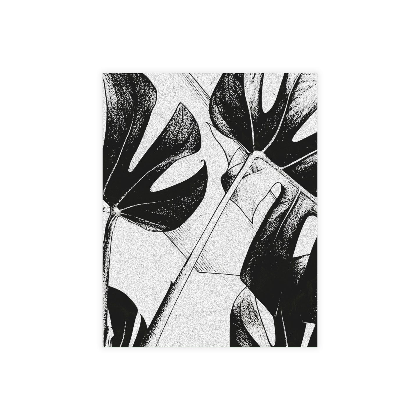 Monstera Leaf Black White Postcards