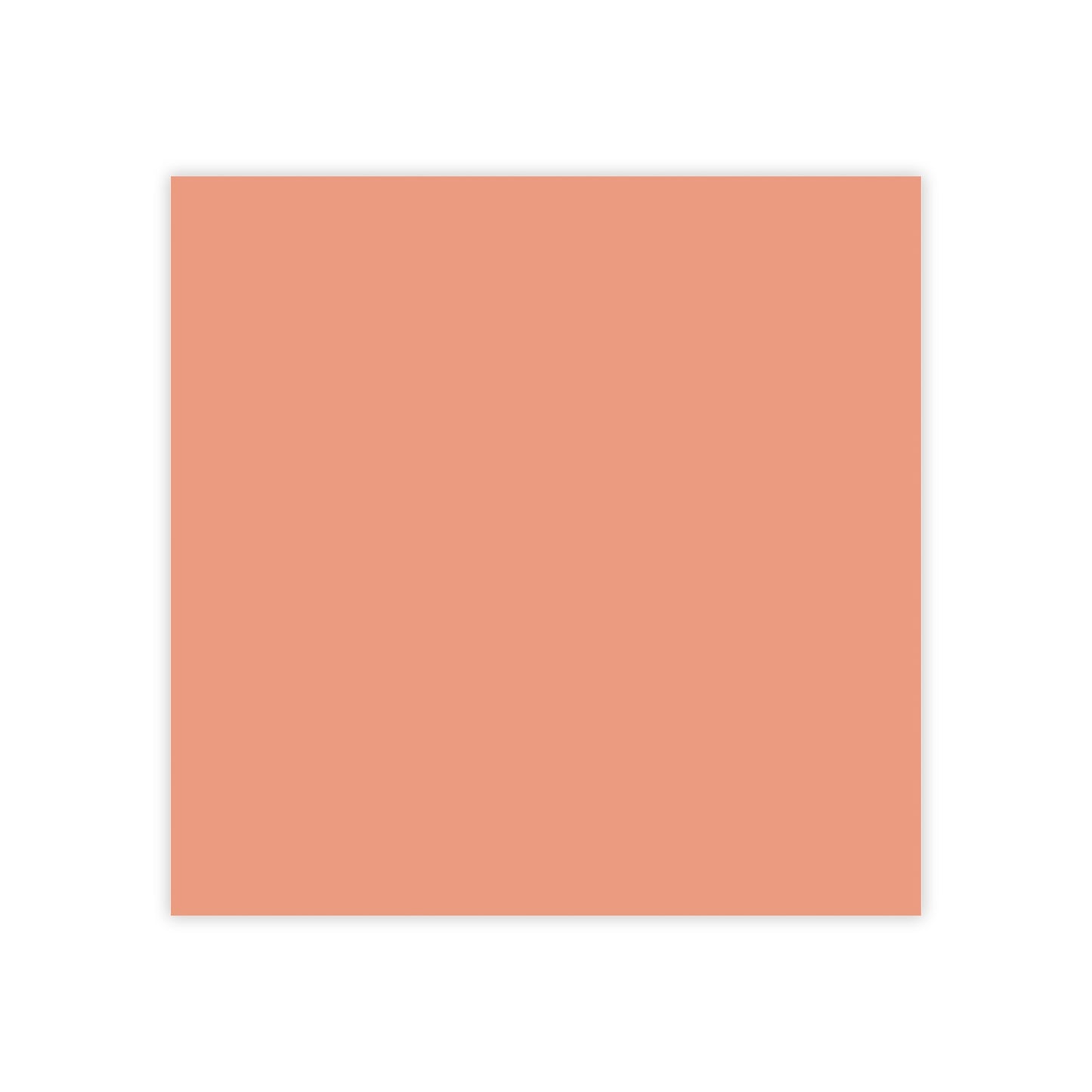 Terracotta Post It Notes Coordinated Color Collection