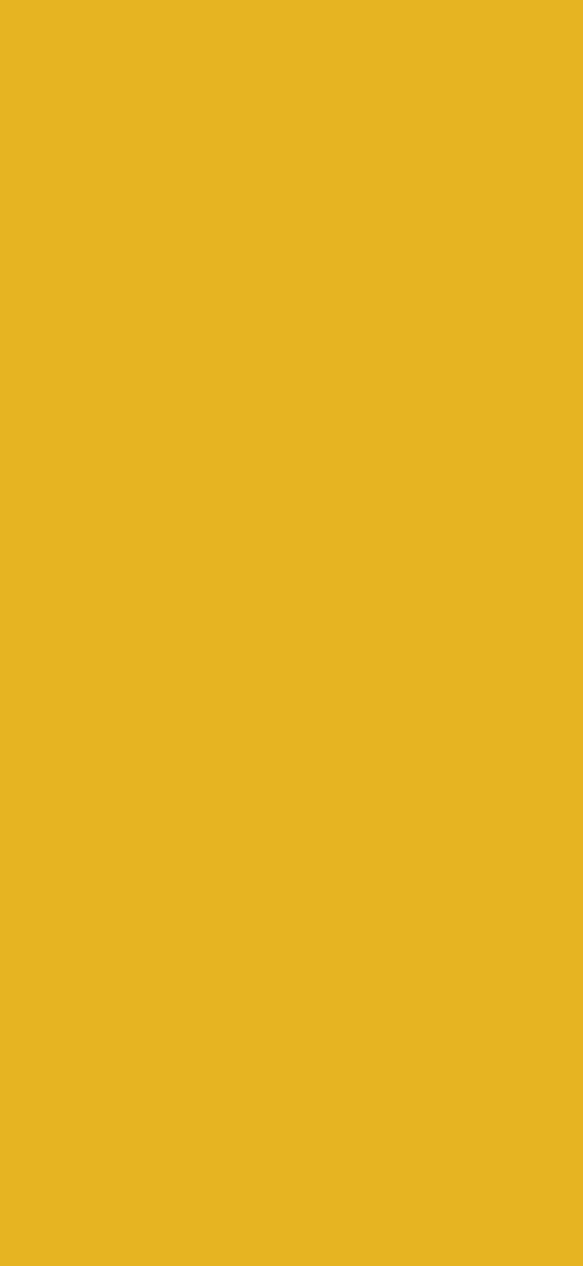 Honey Yellow Digital Wallpaper Bundle 12 Files Desktop Phone Tablet Background Aesthetic Minimal
