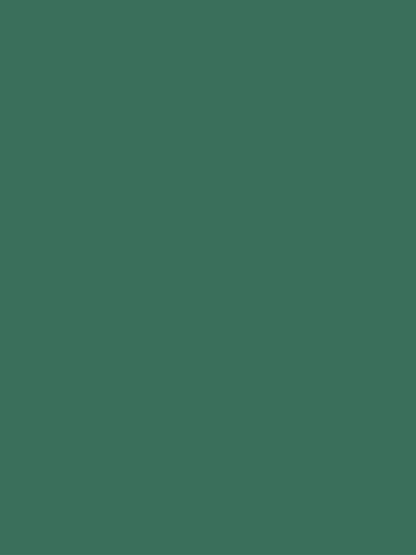 Leaf Green Digital Wallpaper Bundle 12 Files Desktop Phone Tablet Background Aesthetic Minimal