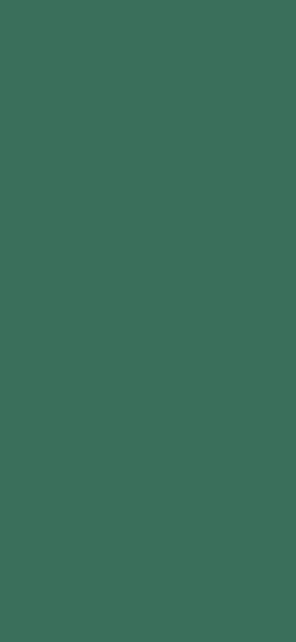 Leaf Green Digital Wallpaper Bundle 12 Files Desktop Phone Tablet Background Aesthetic Minimal