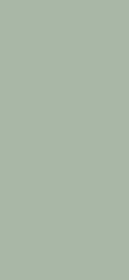 Sage Digital Wallpaper Bundle 12 Files Desktop Phone Tablet Background Aesthetic Minimal