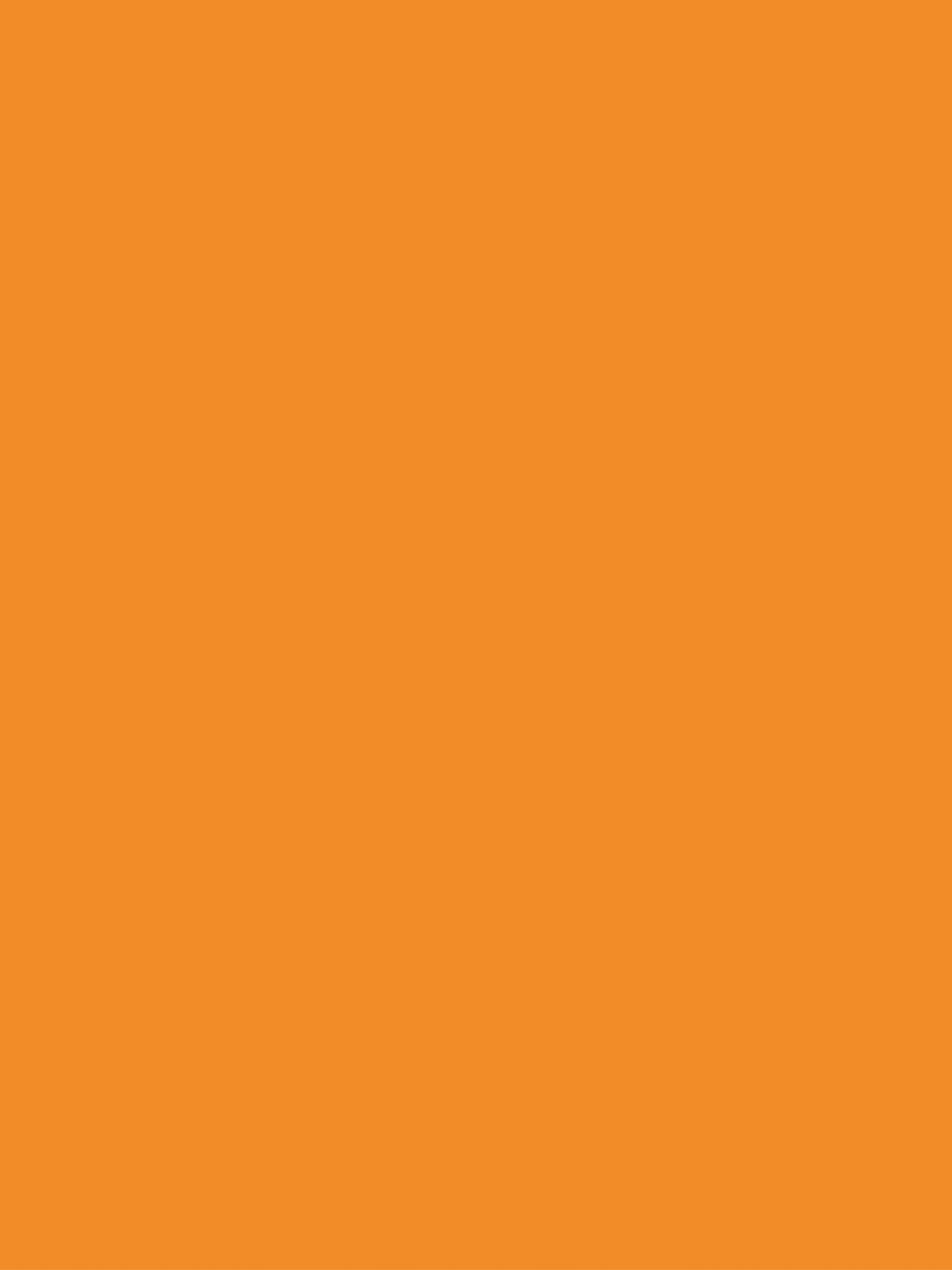 Tangerine Digital Wallpaper Bundle 12 Files Desktop Phone Tablet Background Aesthetic Minimal