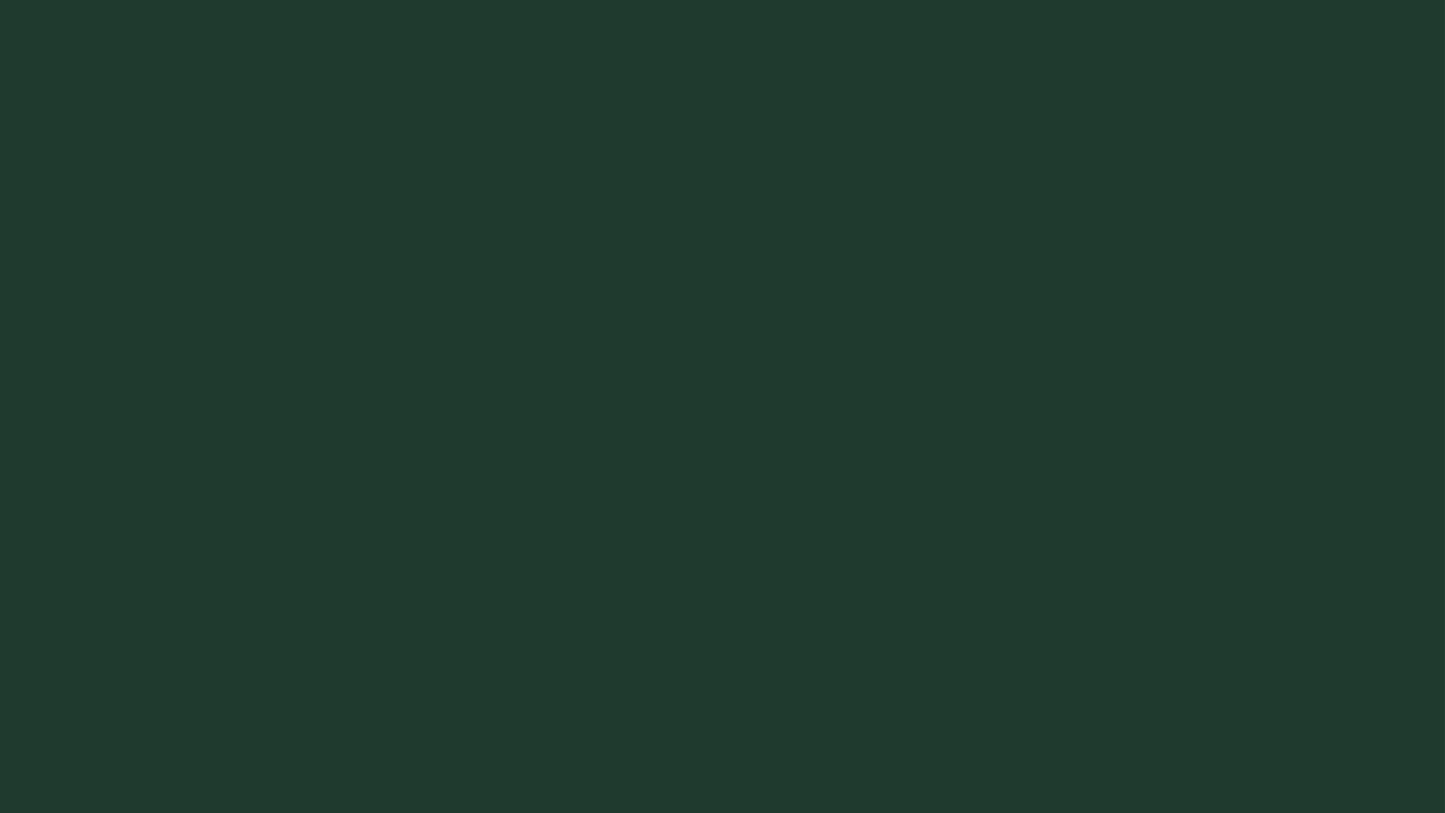 Forest Digital Wallpaper Bundle 12 Files Desktop Phone Tablet Background Aesthetic Minimal