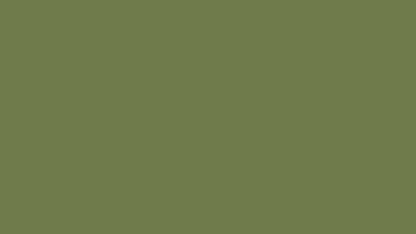 Olive Digital Wallpaper Bundle 12 Files Desktop Phone Tablet Background Aesthetic Minimal