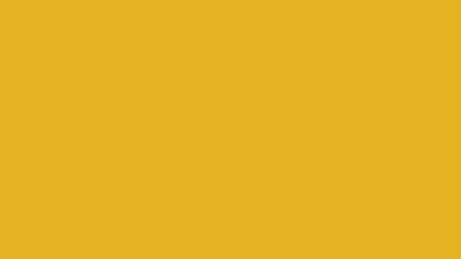 Honey Yellow Digital Wallpaper Bundle 12 Files Desktop Phone Tablet Background Aesthetic Minimal
